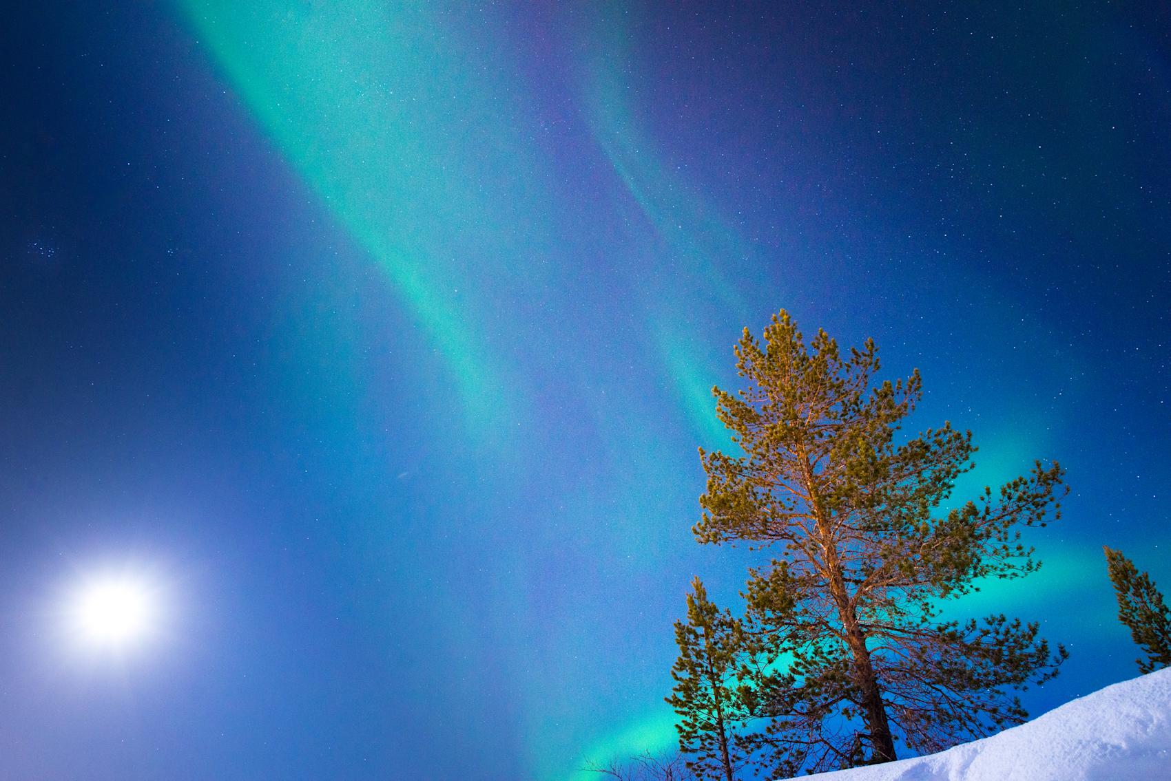 Fantastisk nordlys over Alta -\nFoto: Getty Images