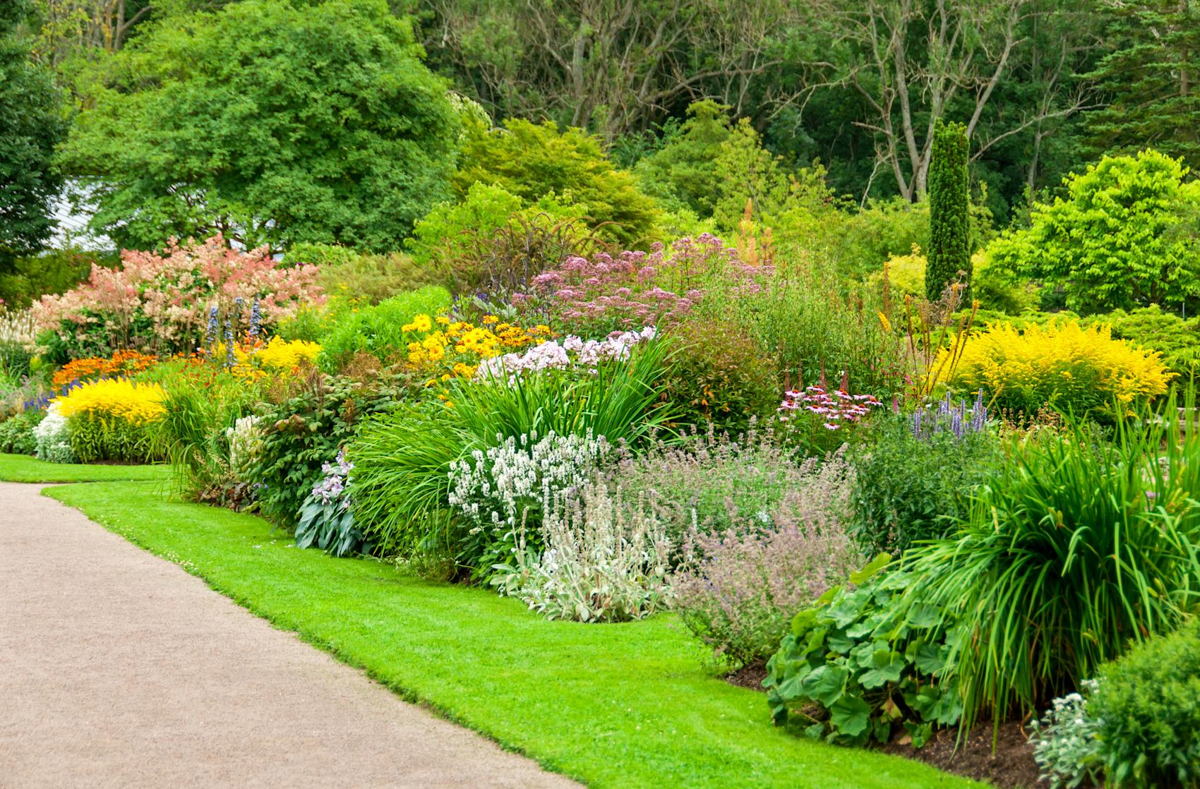 Botanisk hage i Gøteborg -\nFoto: Getty Images