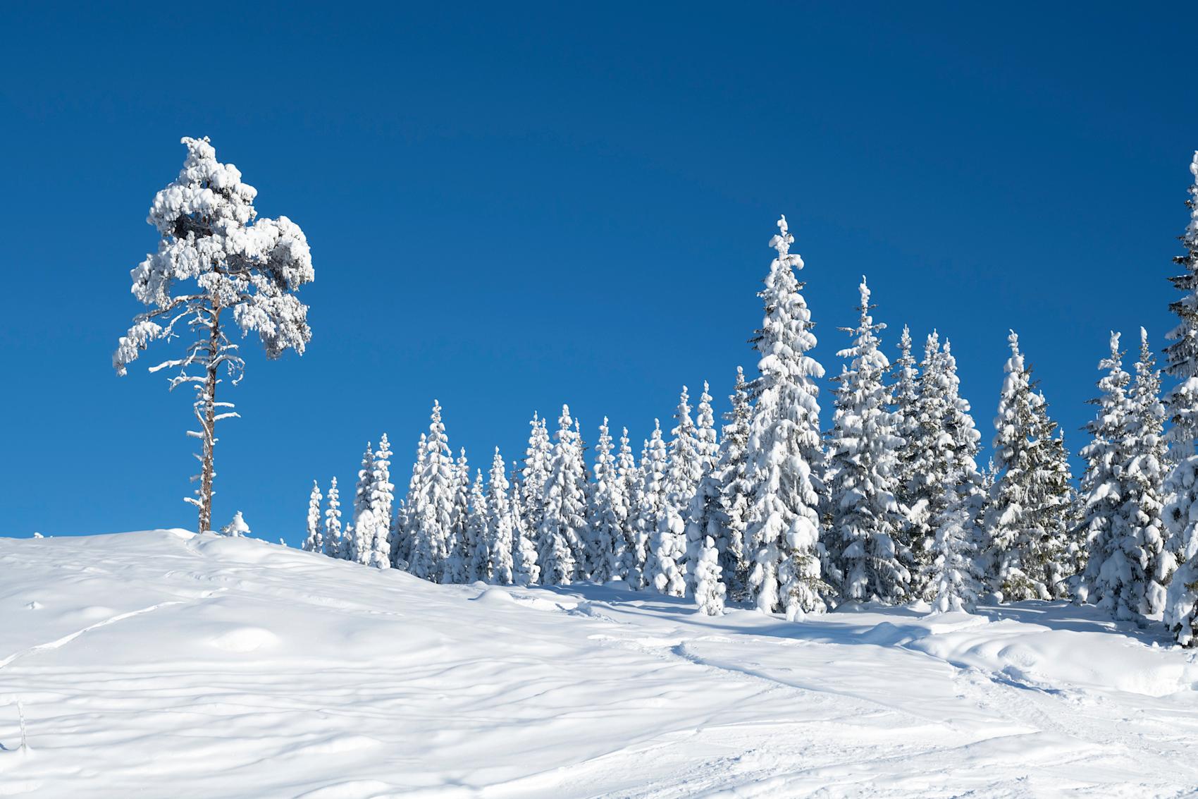 Skiferie på Hafjell – de beste tipsene