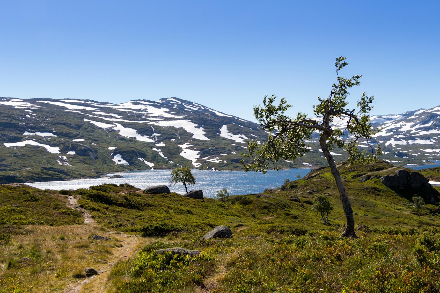Høststemning på Haukelifjell - Foto: Getty Images