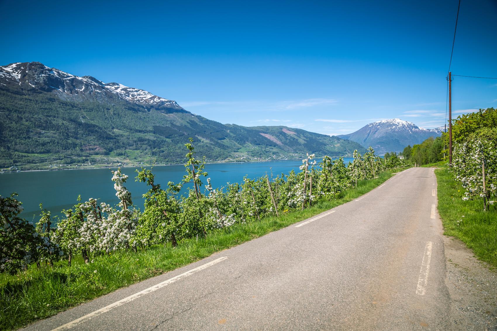 Hardanger - reisetips til bilferie