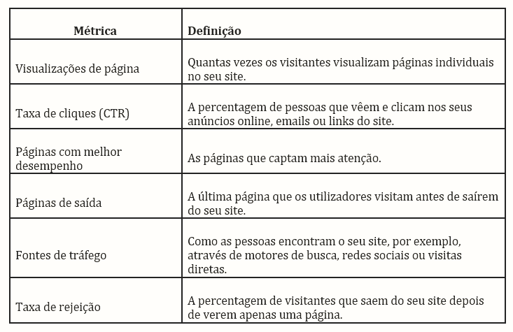 PT -A importância da análise web e onde a encontrar - Image