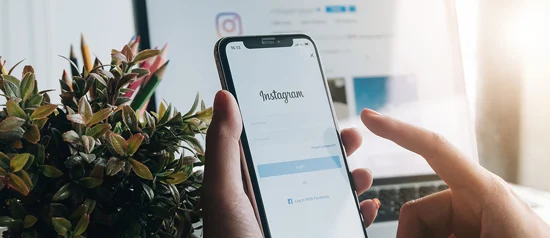 GR - guide to instagram for business Image