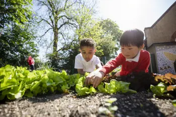 Primary school children in the schools garden planting