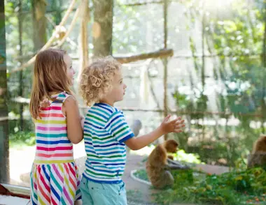 Two children looking through the glass at some monkeys in a zoo.