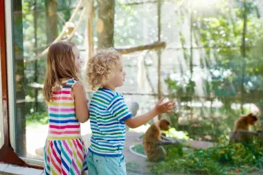 Two children looking through the glass at some monkeys in a zoo. 