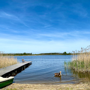 Dom Łabędź i Zielony Domek - jezioro