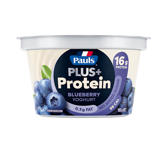 Pauls PLUS+ Protein Blueberry 160g yoghurt