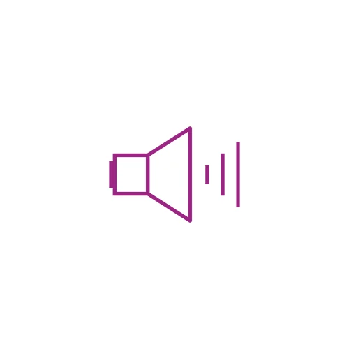 Audio icon