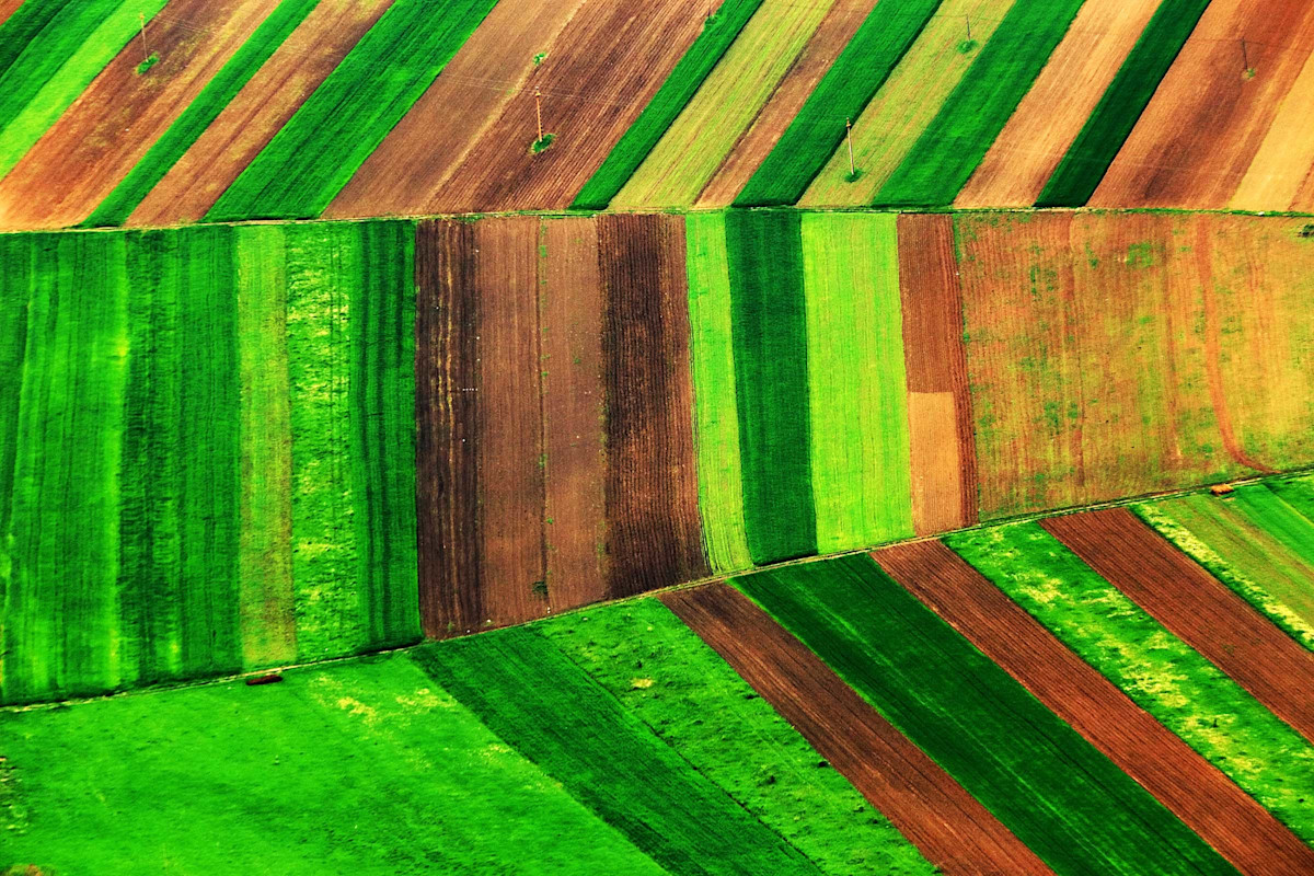 Overhead view of green and brown fields growing