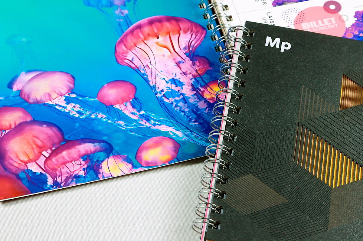 Spiral bound book with black and gold cover, brightly covered jellyfish