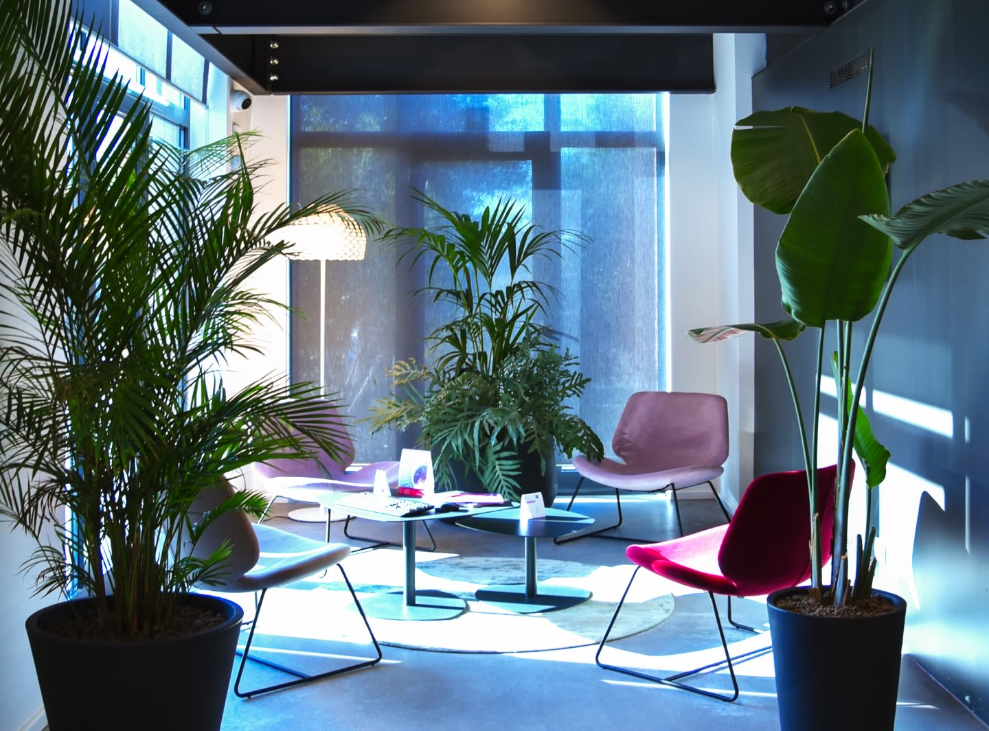 Showroom experience di Rossetto a Udine