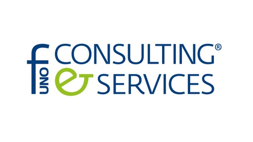 [Company Logo] F1 Consulting and Services