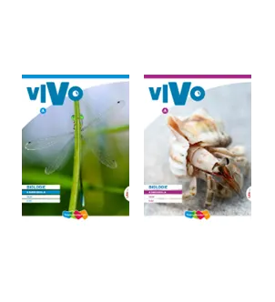 Vivo 4 havo en 4 vwo