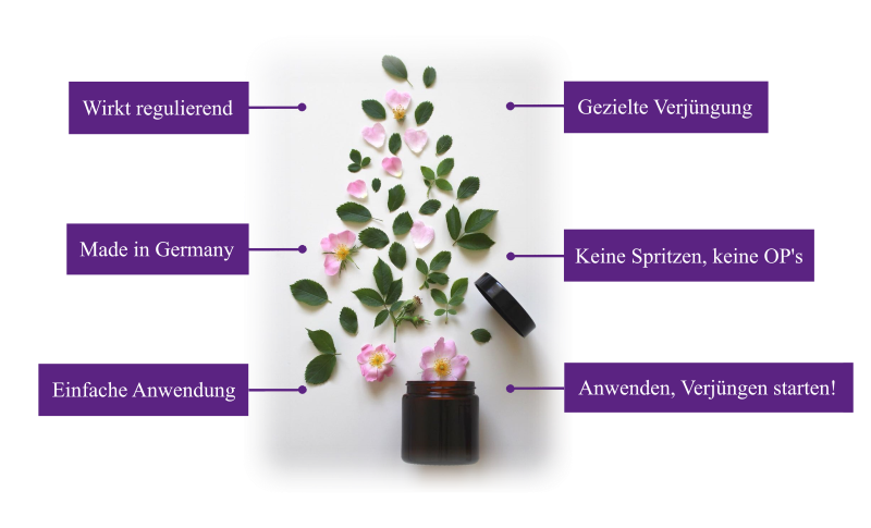 Herbs