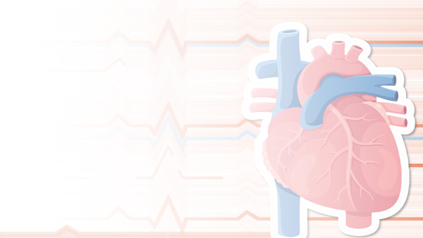 Illustration of an anatomical heart