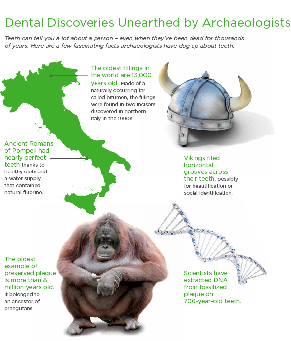 Dental Discoveries Unearthed by Archaeologists