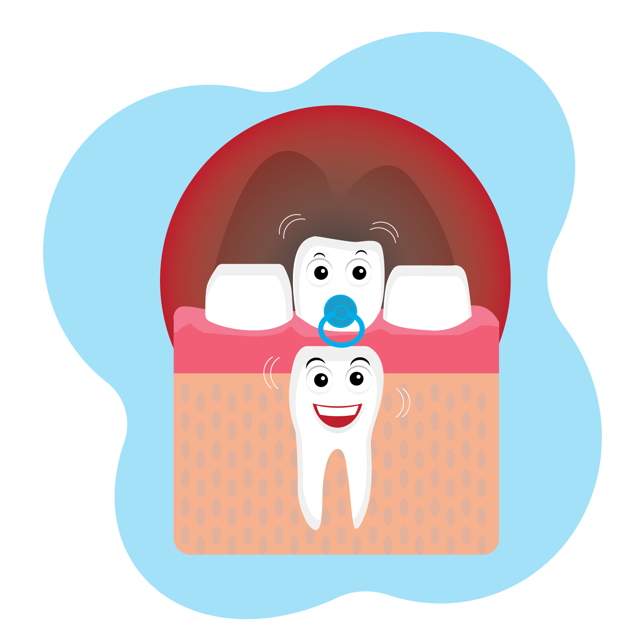 Illustration of a tooth with a pacifier to signify a baby tooth with a larger tooth emerging from the gums nearby 