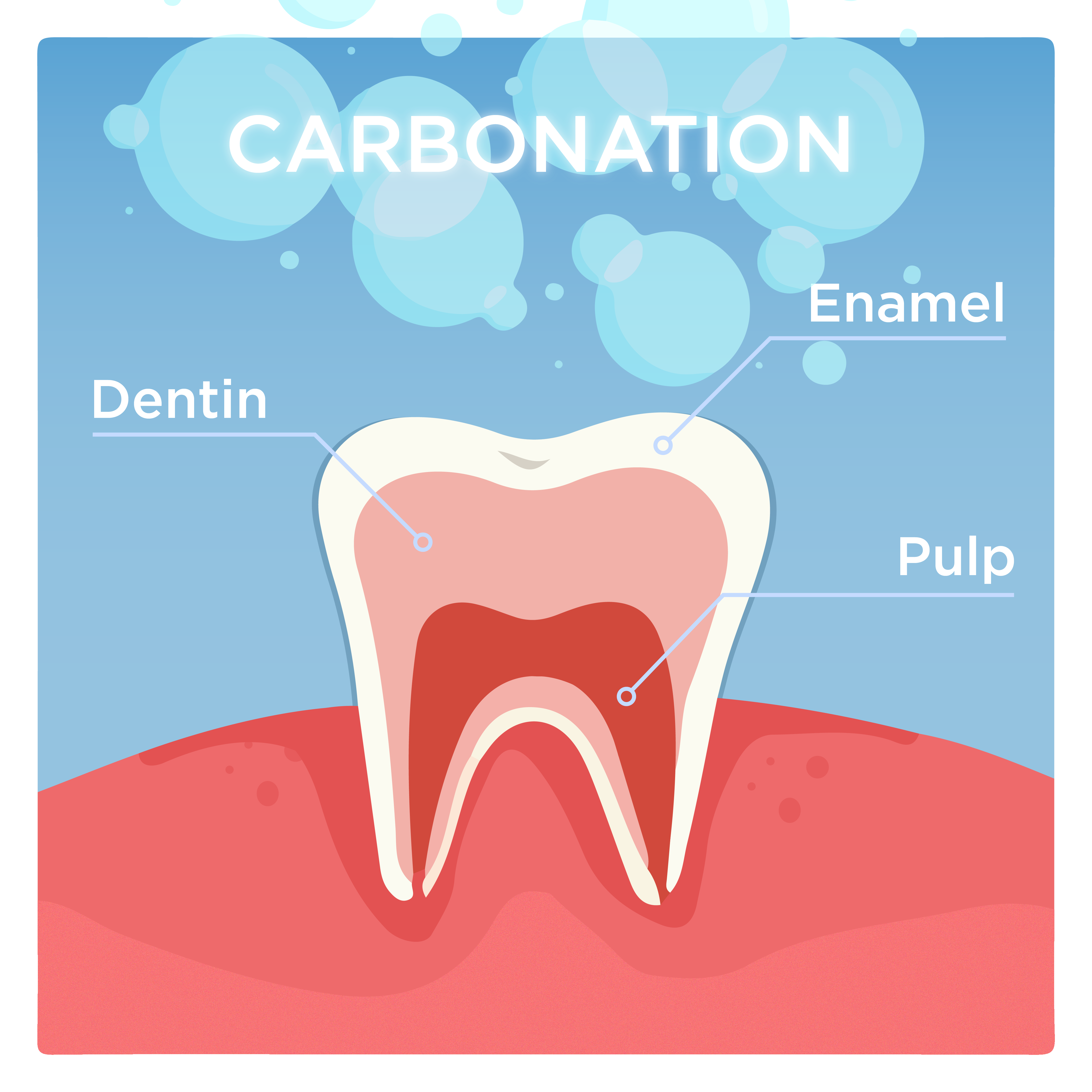 Illustration of the components that make up the inside of the tooth. The outer layer is white and labeled "enamel", there is a pink layer below that labeled "dentin", and the inner red layer is the "pulp".
