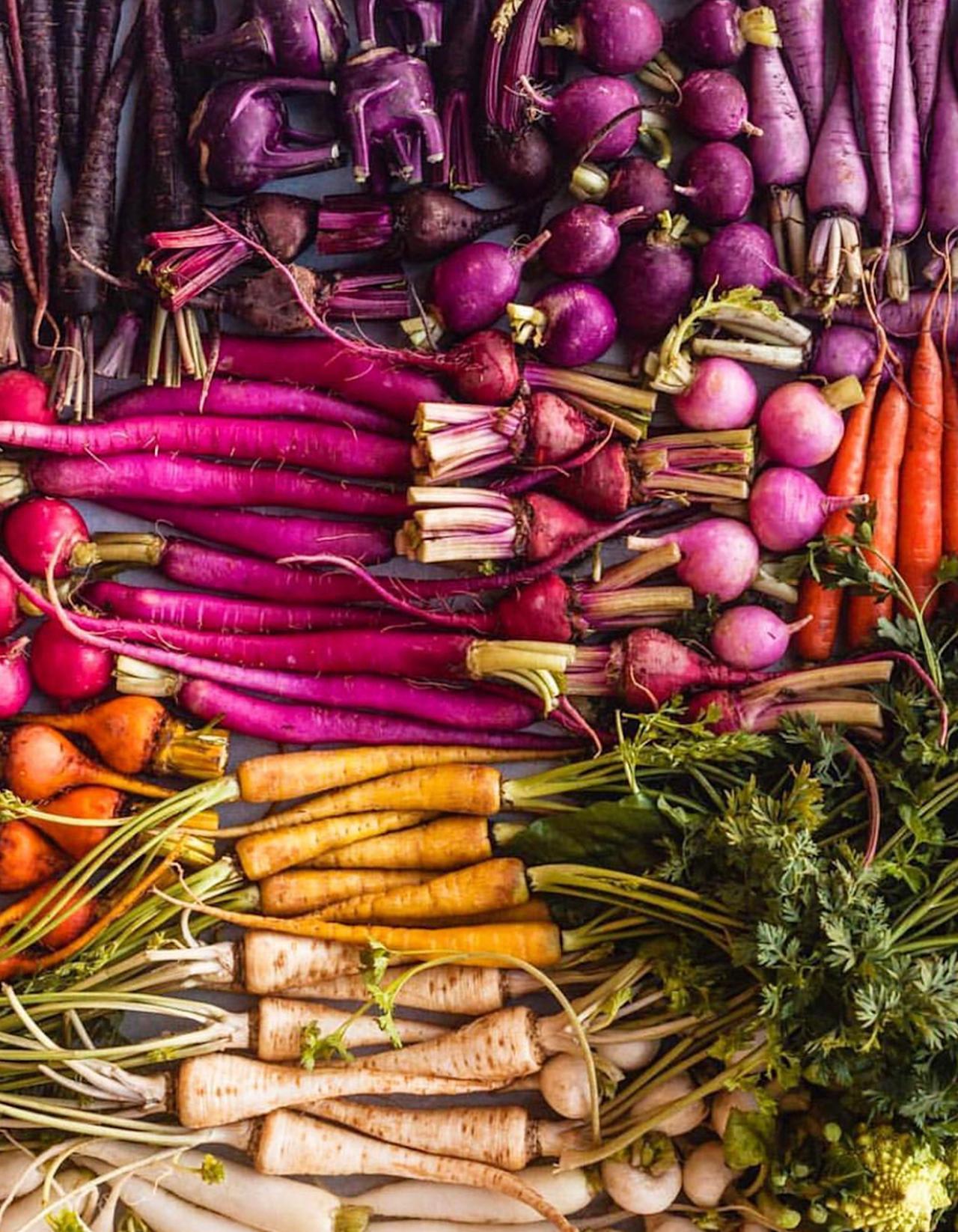 justbobbi_Diary_UmaFood_Veggie
