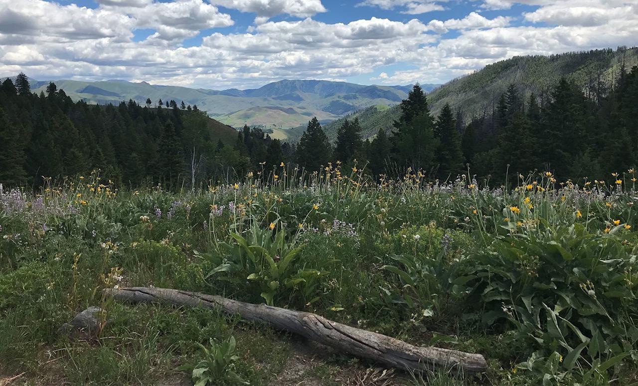 justbobbi_Diary_SunValley_02