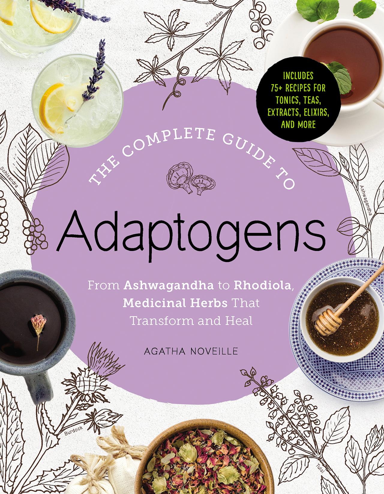 justbobbi_Diary_Adaptogens_Article01