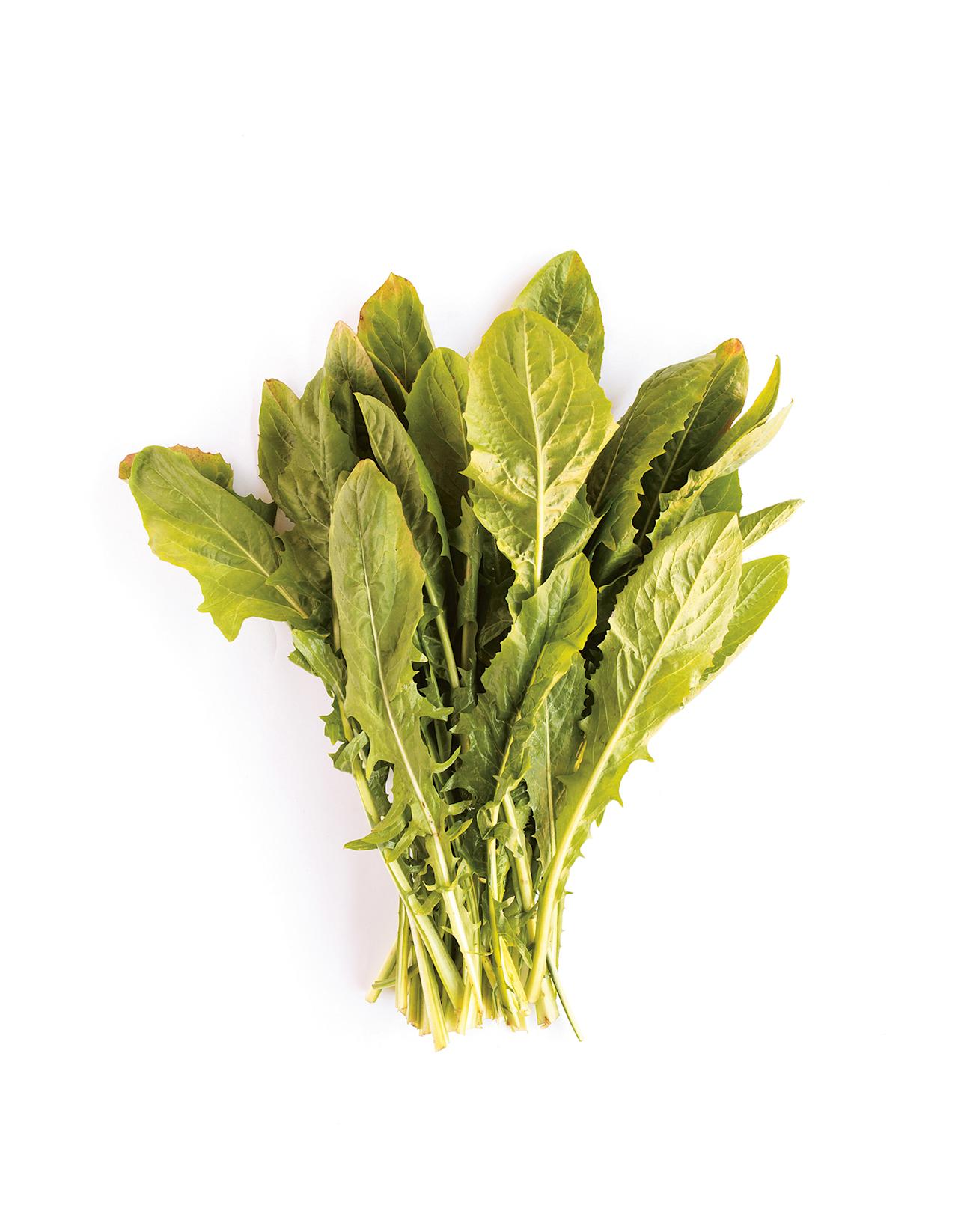 justbobbi_Diary_PlantBased_Article01