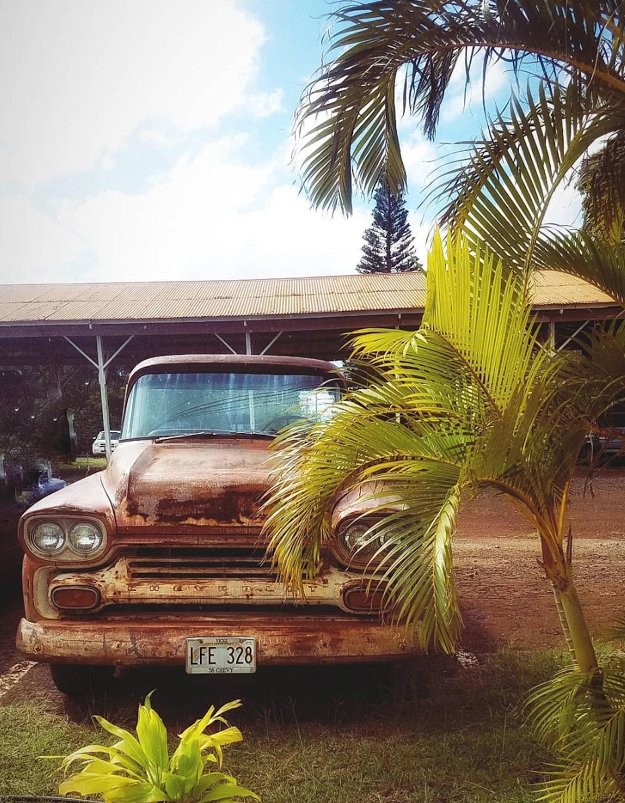 justbobbi_Diary_Molokai_02
