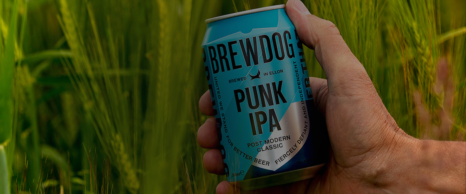 Equity For Punks Updates