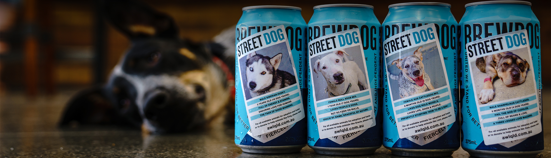 Street Dog: Limited Edition Punk IPA