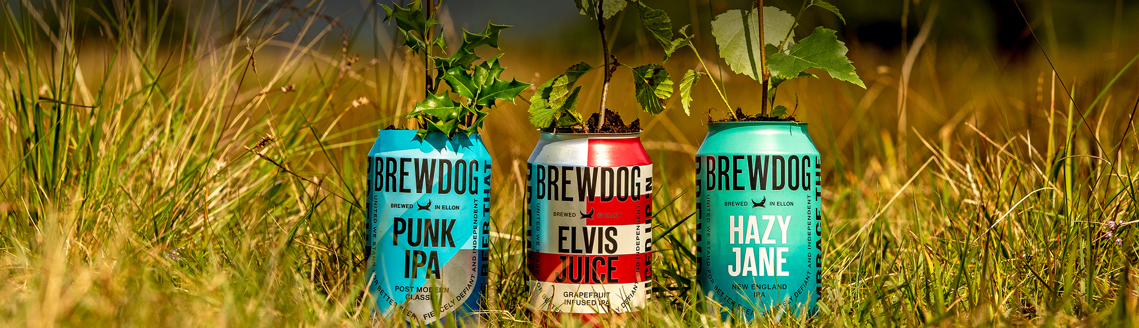 DRINK BEER. EARN REWARDS. KILL CARBON.