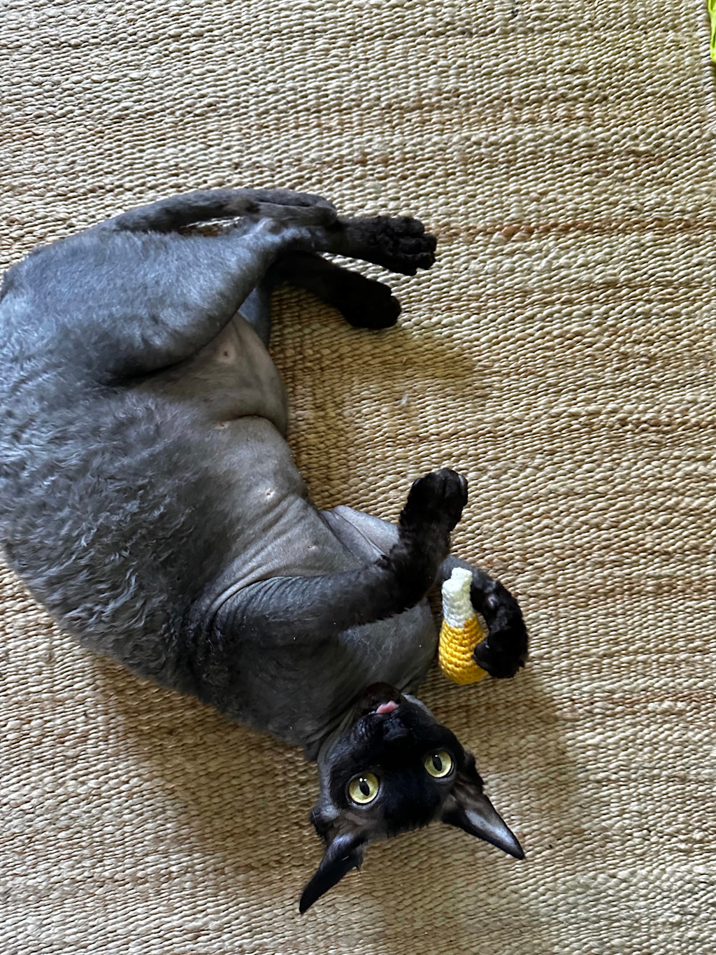 Norman is laying on his back playing with a crochet drumstick toy on a rug.