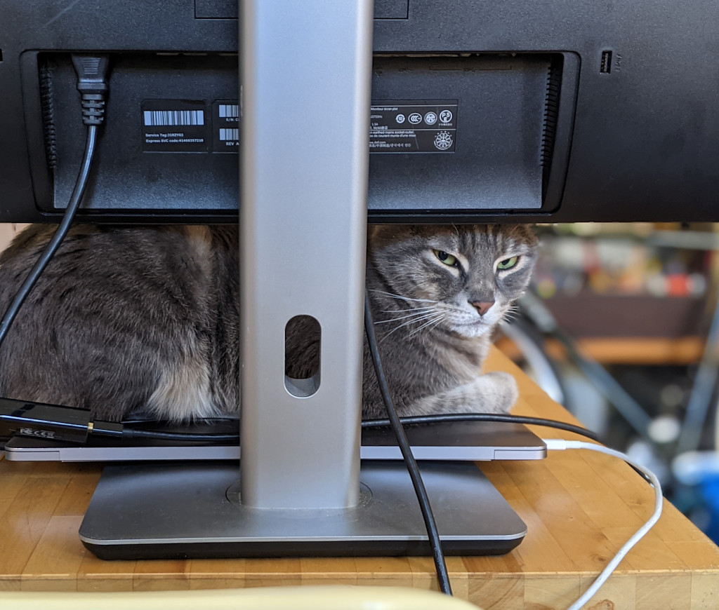 The image shows a computer monitor with a cat peeking out from behind it. The monitor is positioned on a wooden desk or table, with various cables and cords running from the back of the device.
The cat appears to be a medium-sized, gray and white domestic cat with a fluffy, shaggy coat. Its eyes are visible, and it seems to be observing the environment from its hiding spot behind the monitor.
The background is slightly blurred, but it appears to be a home or office setting, with some additional furniture or objects visible in the periphery.