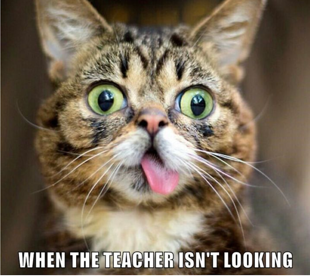A close-up photo of a cat's face with an exaggerated, mischievous expression. The cat has striking bright green eyes opened very wide, tabby markings, and is sticking out its small pink tongue. The cat's whiskers are prominent and its expression appears gleeful or silly. Below the image is white text in all capitals that reads 'WHEN THE TEACHER ISN'T LOOKING'. The combination of the text and the cat's playful expression suggests the universal experience of students being silly or mischievous when the teacher's back is turned.