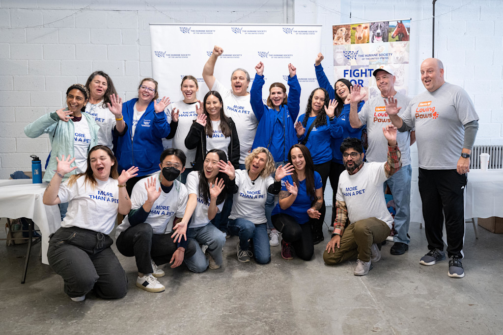 A joyful group of volunteers and team members from the Humane Society of the United States and Smalls celebrate their collaboration to promote pet welfare. Featuring branded shirts and banners, the event highlights their shared mission to fight for animal rights and care.