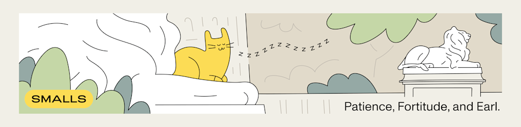 A cat sits atop one of the lions outside of the New York Public Library.