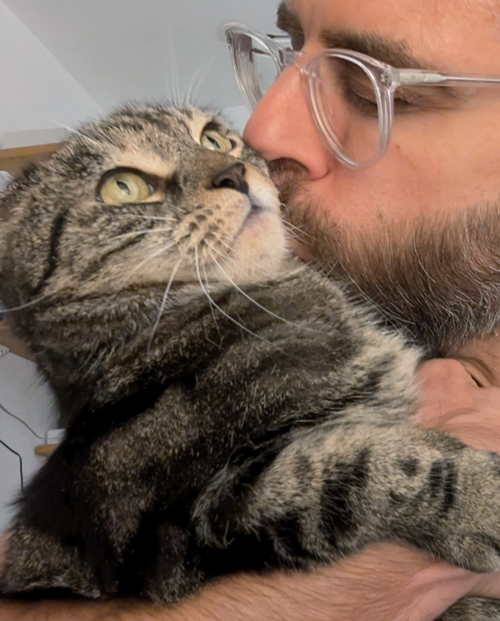 This image depicts a close-up view of a man with a beard and glasses, gently holding a gray and white tabby cat. The man's face is in close proximity to the cat's, suggesting a warm and affectionate interaction between the two.
The cat's eyes are wide and alert, looking directly at the man. Its fur appears soft and fluffy, with a distinct striped pattern. The cat's whiskers are clearly visible, adding to the sense of detail and texture in the image.
The man is wearing glasses with a transparent frame, and his beard is neatly trimmed. His expression conveys a sense of care and tenderness as he holds the cat close to his face.
The overall scene suggests a loving and comfortable relationship between the man and his feline companion, creating a heartwarming and intimate glimpse into their shared moment.
