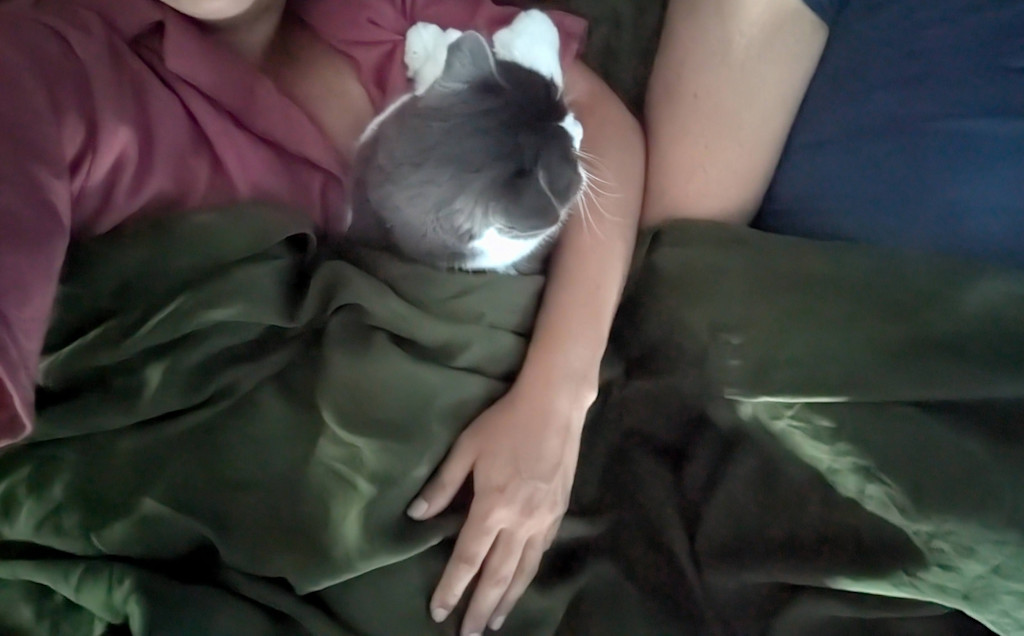 Lyra in bed under the green fleece blanket on top of Janelle.