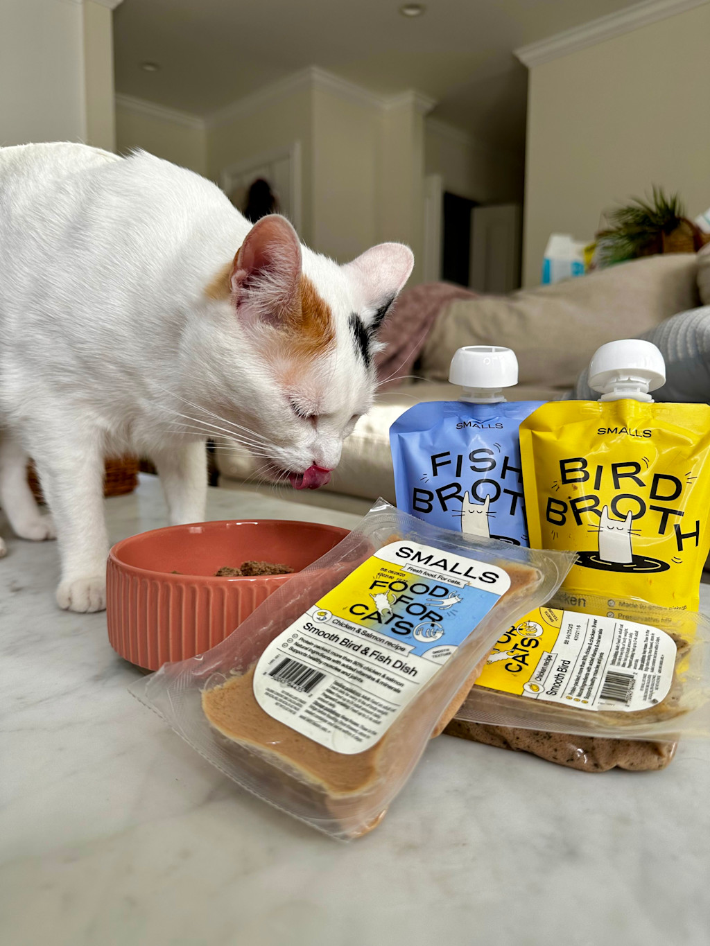 The image shows a white cat with patches of light orange or tan fur on its head, standing next to various cat food products on what appears to be a kitchen counter or table. The scene is set in a home interior, with a couch and some house plants visible in the background.
The cat is leaning down towards a coral-colored ceramic bowl containing what looks like dry cat food. The cat's pink tongue is slightly extended, suggesting it's about to eat or has just finished eating.
In front of the cat are several cat food products from a brand called "Smalls":
Two pouches of cat food broth: one blue labeled "Fish Broth" and one yellow labeled "Bird Broth".
Two plastic containers of what appears to be wet cat food. The containers are labeled "Food for Cats" and "Smooth Bird & Fish Dish".
The food items are arranged on a light-colored surface, likely a countertop or table. The background shows a partial view of a beige couch and some out-of-focus house plants on a shelf.
The overall image conveys a domestic scene of a cat being presented with various food options in a home setting.