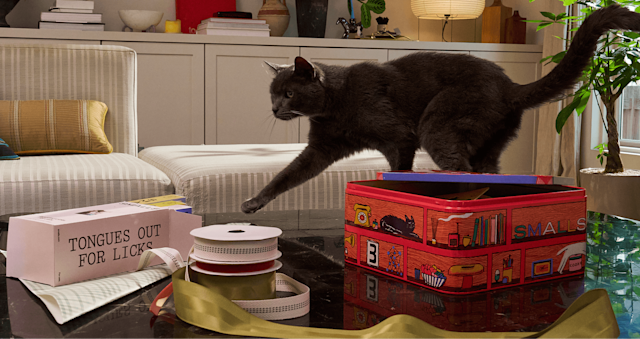 Cat walking past assorted licks and crochet box set