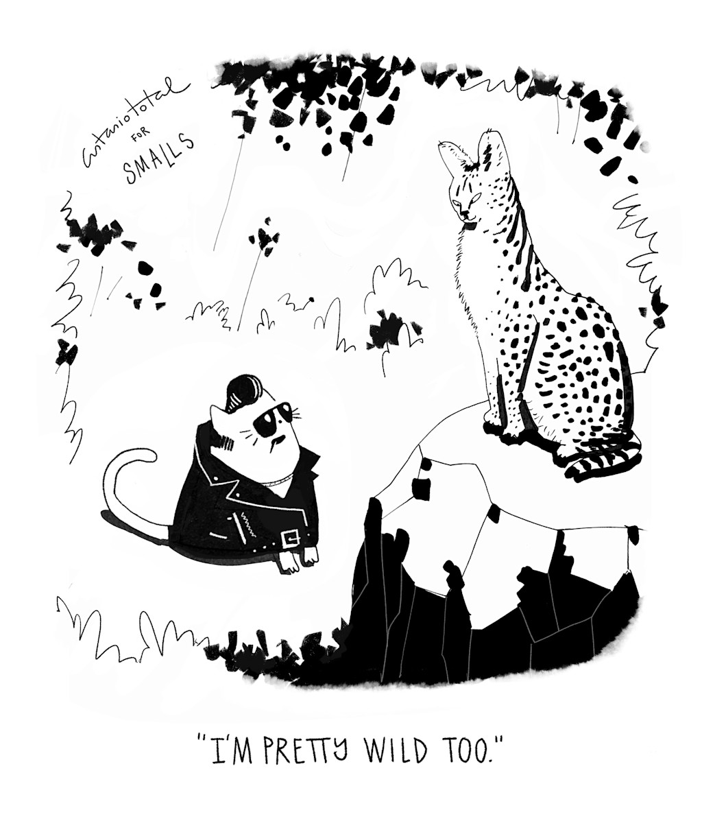 The image is a black and white cartoon illustration. It shows two cats in a stylized outdoor setting. On the right is a large, spotted wild cat, likely a cheetah or serval, sitting upright and looking alert. On the left is a small domestic cat wearing a black leather jacket and sunglasses, giving it a "cool" or rebellious appearance. The small cat is looking up at the wild cat.
The scene is framed by simple line drawings suggesting grass and trees. At the top left corner, there's handwritten text that says "astasiototal for SMALLS".
At the bottom of the image is a caption that reads "I'M PRETTY WILD TOO." This caption, combined with the contrasting appearances of the two cats, creates a humorous situation where the small, dressed-up house cat is comparing itself to the genuinely wild large cat.
The overall style is minimalist and whimsical, using only black ink on a white background to create the entire scene.