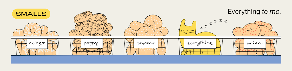 A cat sitting in the basket that should be holding everything bagels.