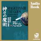 神々の魔術 (上)