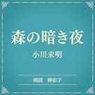 森の暗き夜(小学館の名作文芸朗読)