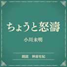 ちょうと怒濤(小学館の名作文芸朗読)