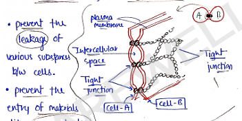 Screenshot 2026-02-07 170903