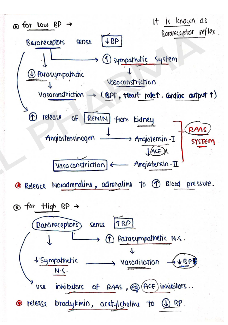 Screenshot 2026-02-11 212725