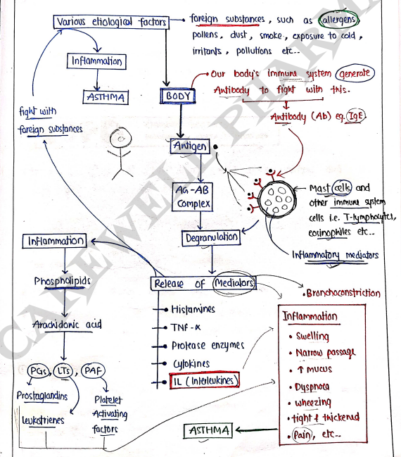 Screenshot 2026-03-11 163539