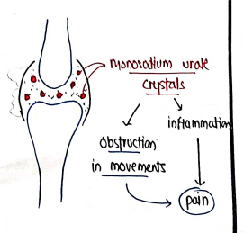 Screenshot 2026-03-12 144836