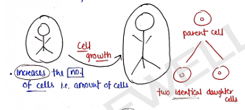 Screenshot 2026-02-07 170551